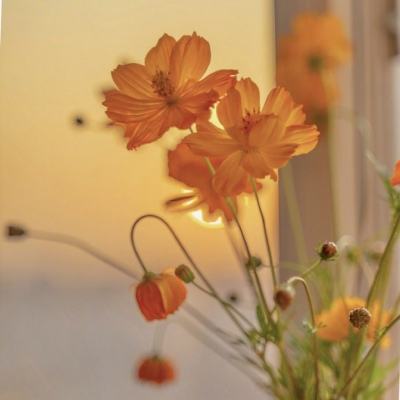 ag真人国际官网